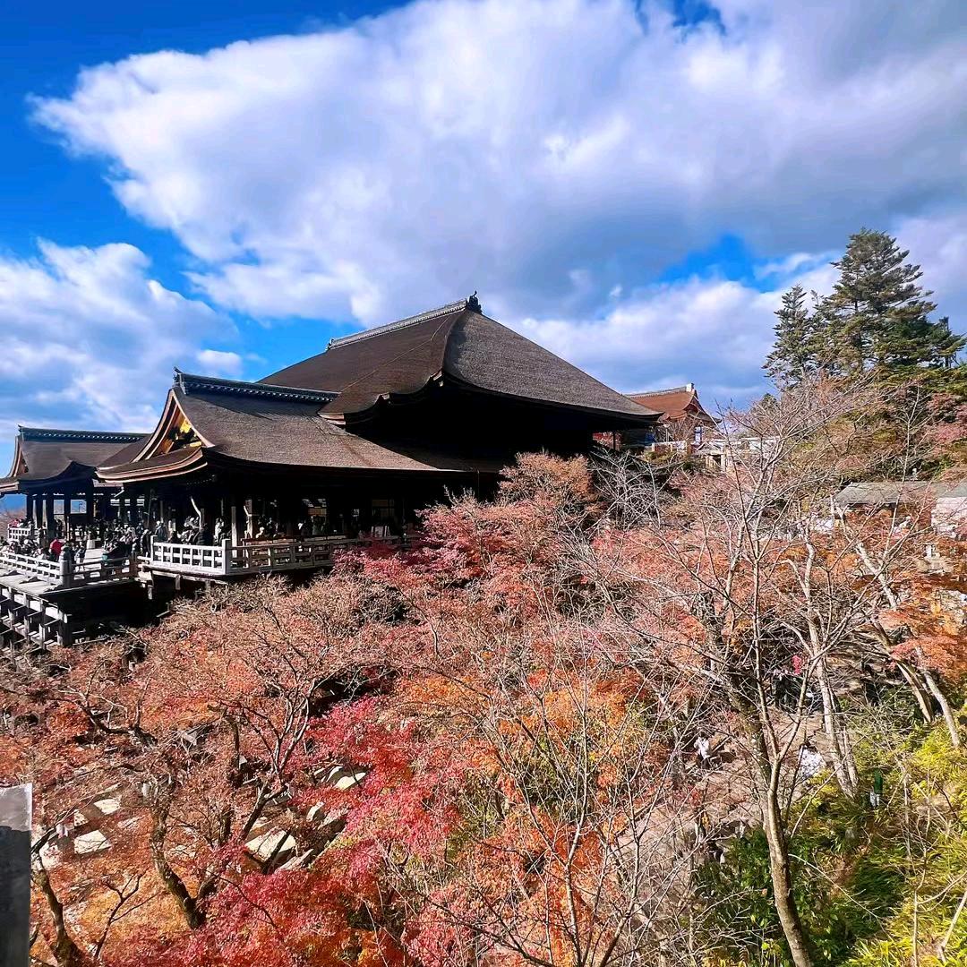 乡村风景（坝坝舞）