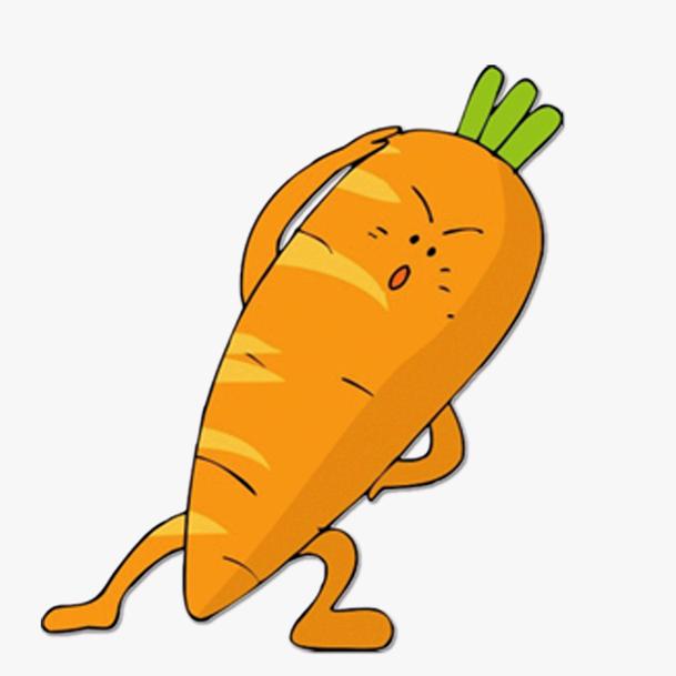 😋胡萝卜😋