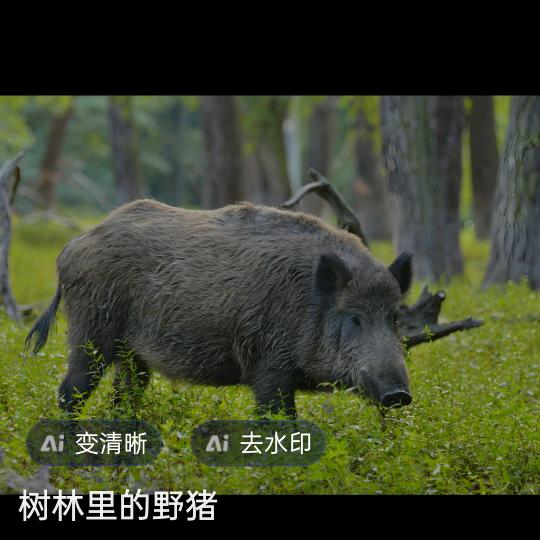 用户1802368275823