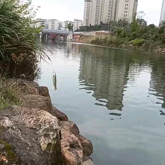 小姐姐爱钓鱼