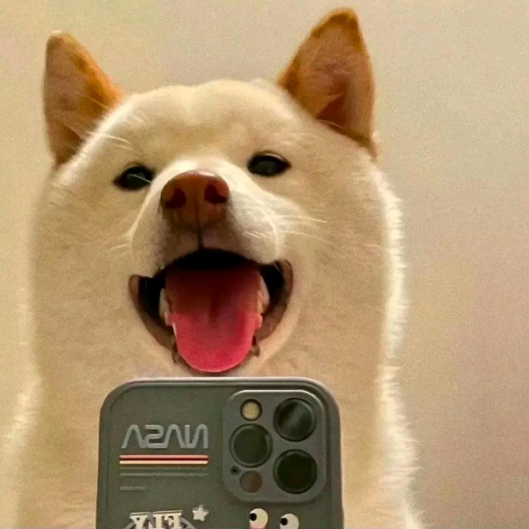 一瓶小奶杨