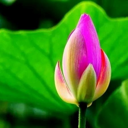 芳姐 0809