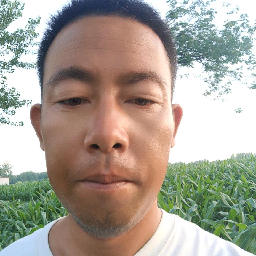 边看直播边钓鱼