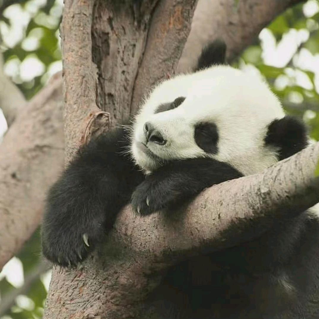 重生之我在软件谷做招商