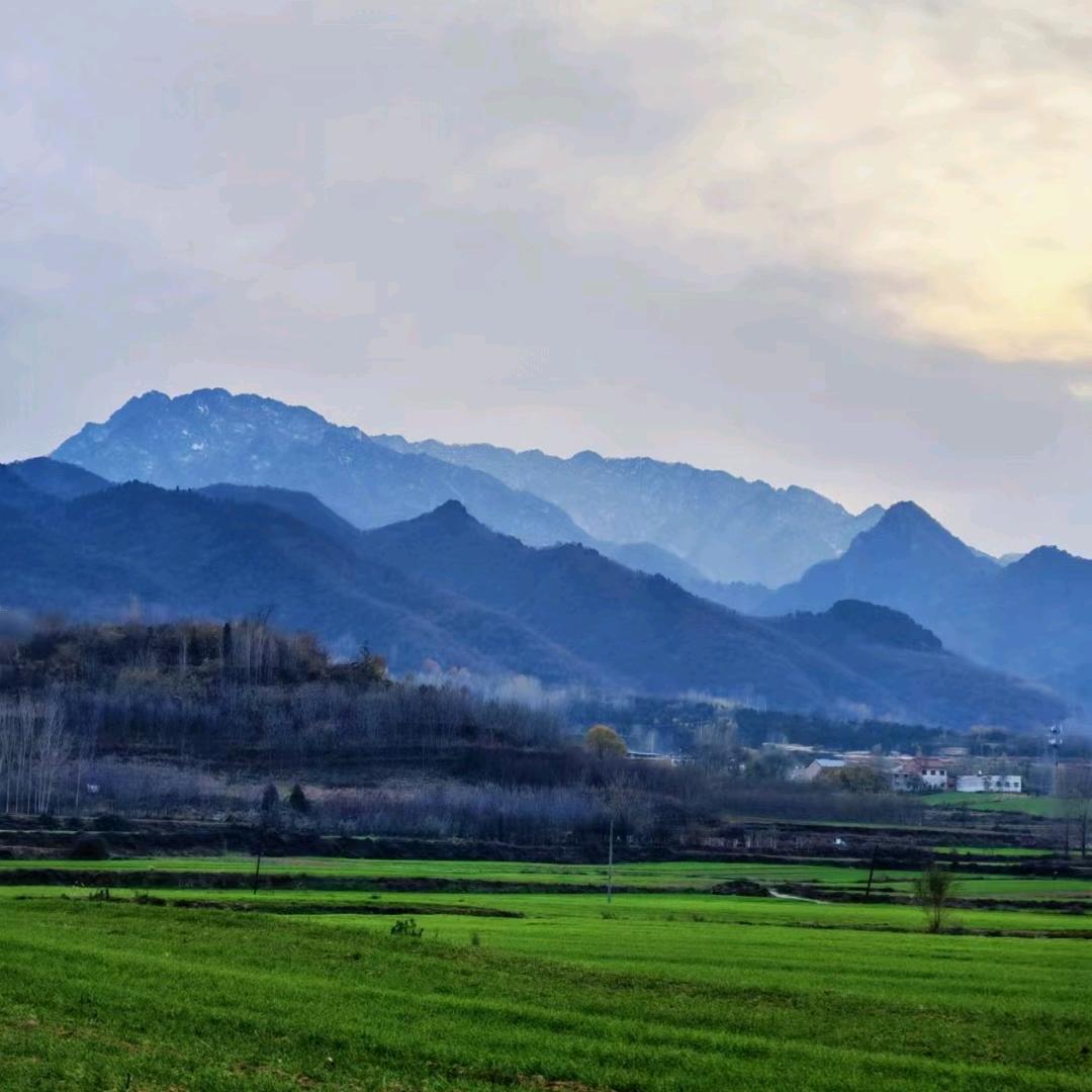 体重有点陈女士