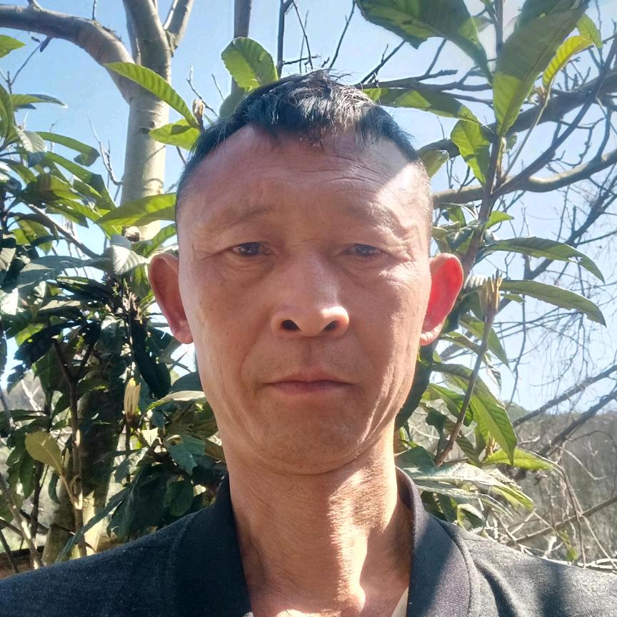 启航哥