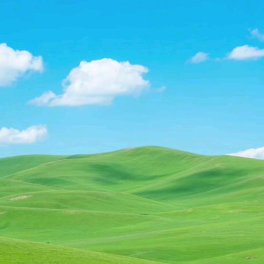 @安若