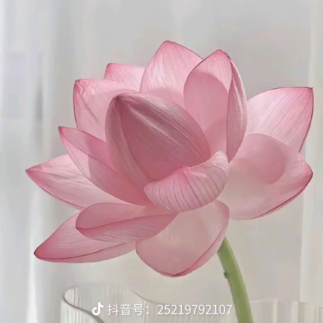 方方