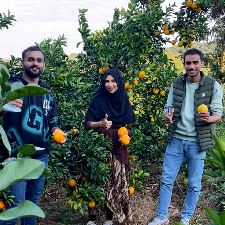 学生助农｜赣南脐橙