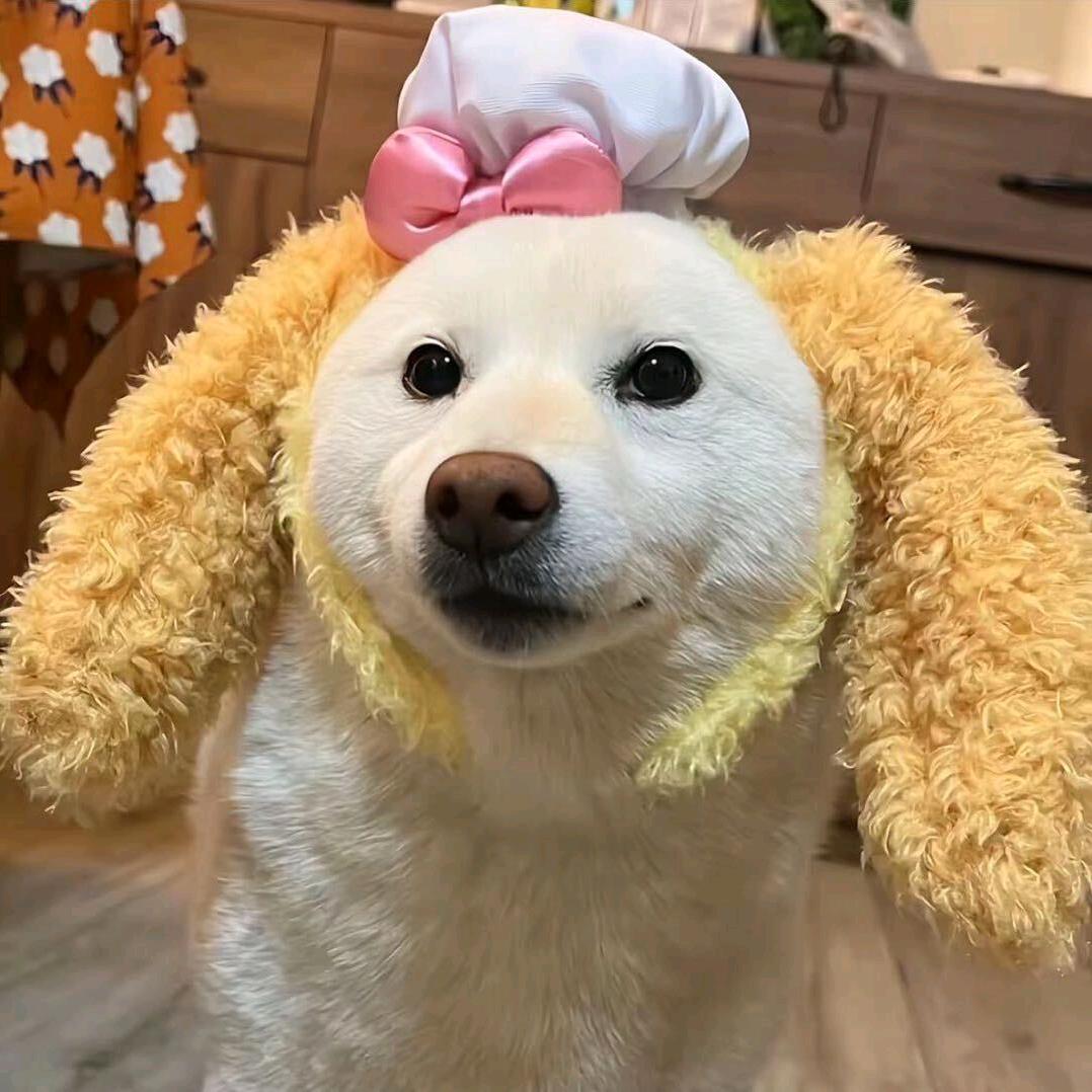 妍多多