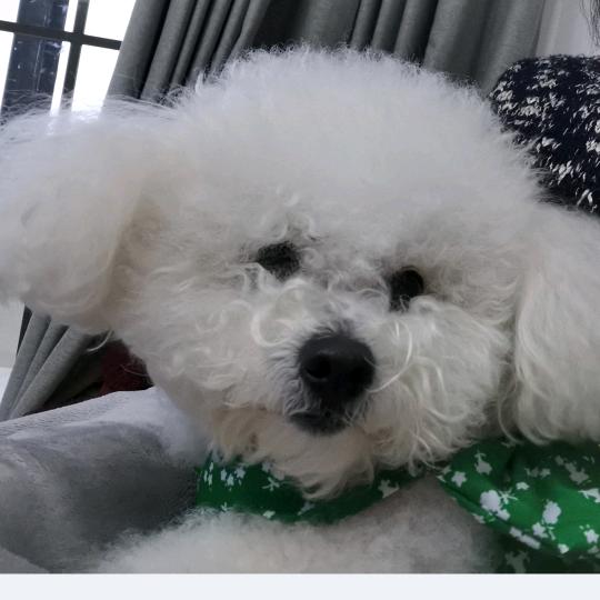 人生如戏😀：