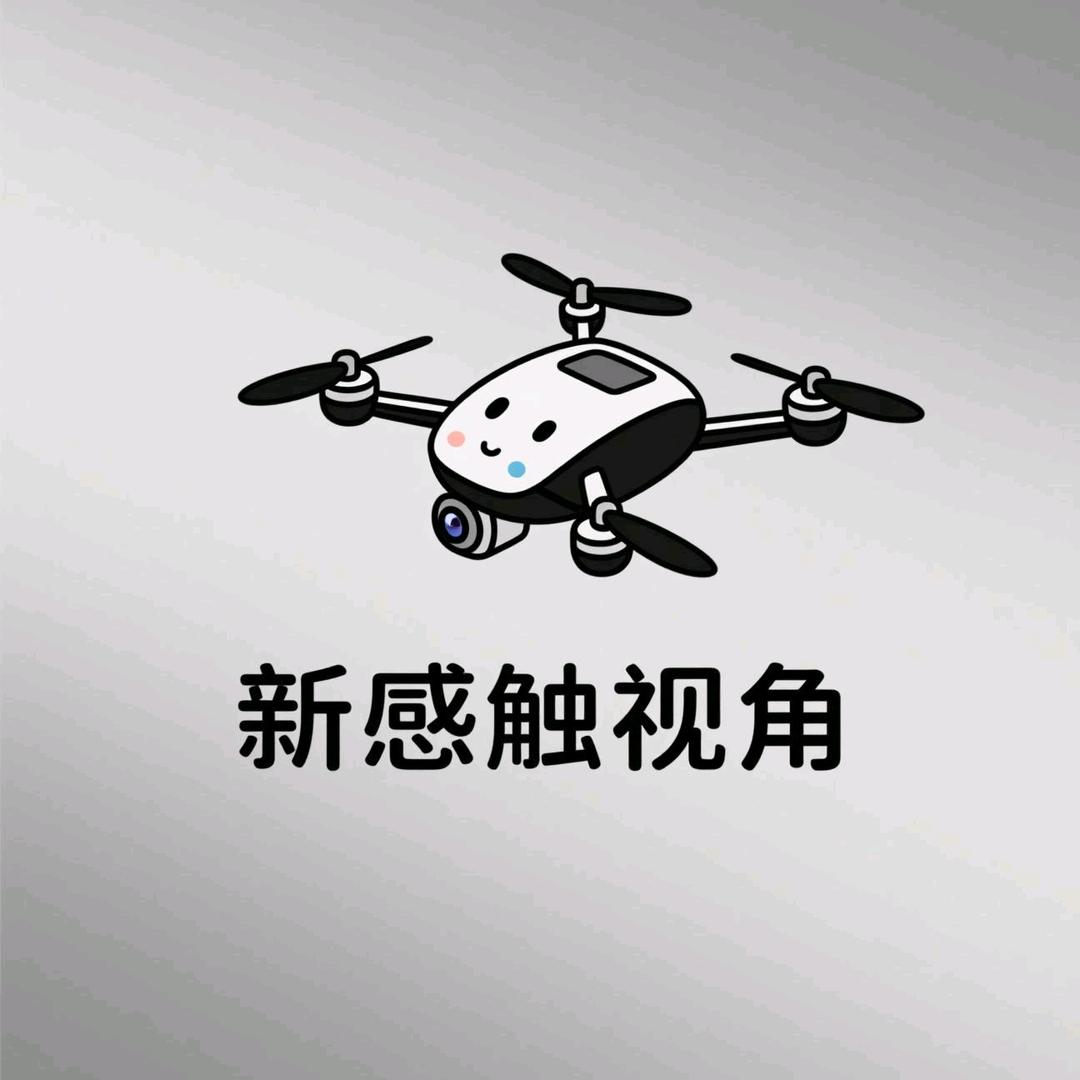 新感触视角