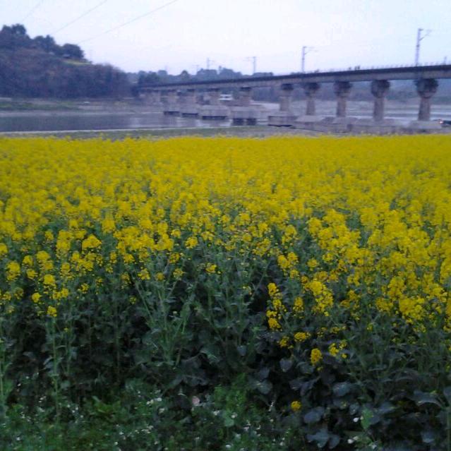 你陪我一程，我念你一生！封心锁爱！