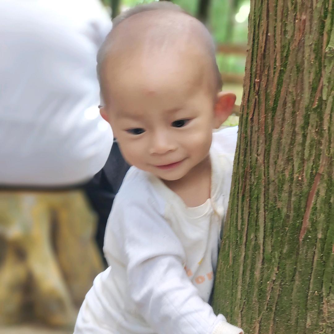 黄幺妹