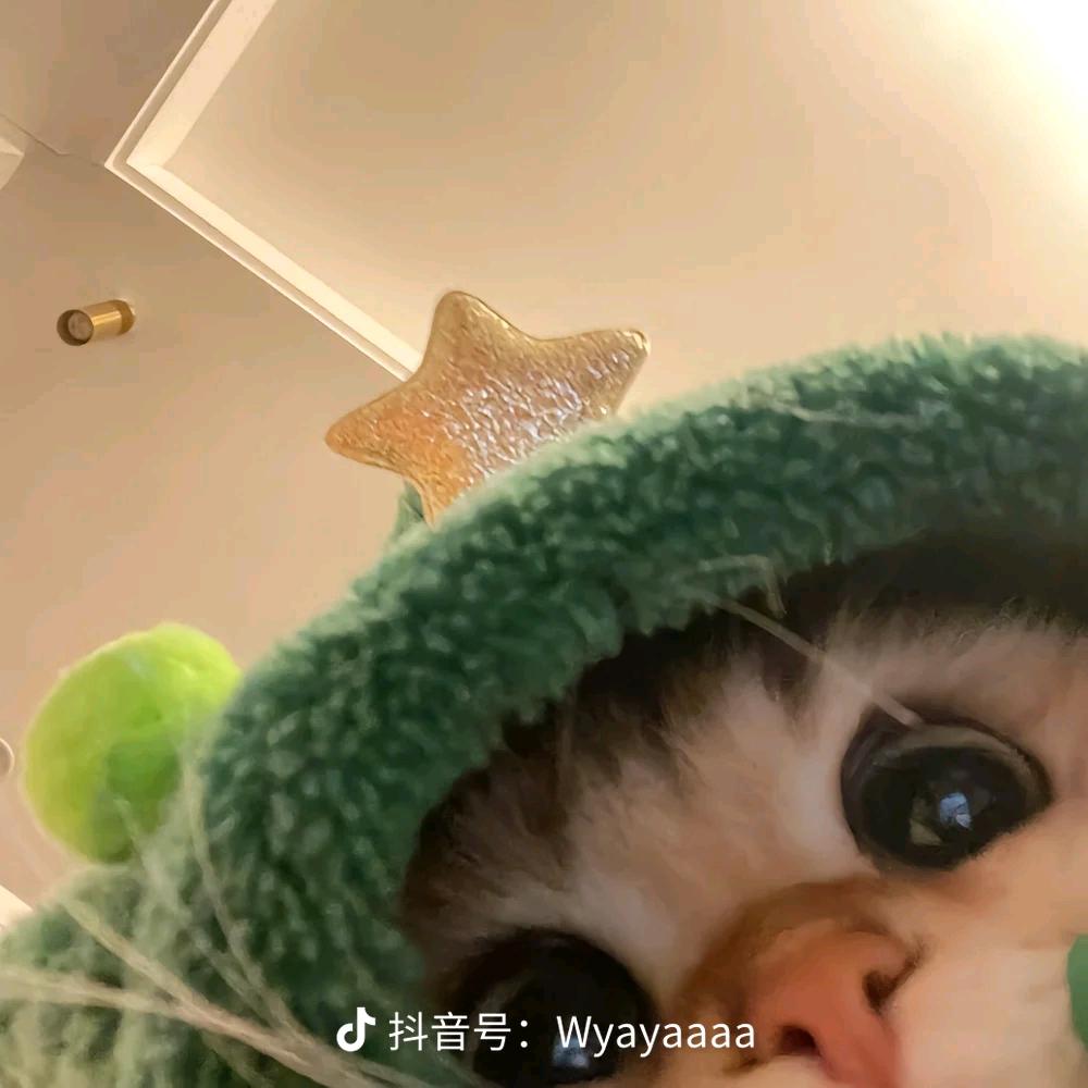 晩秋