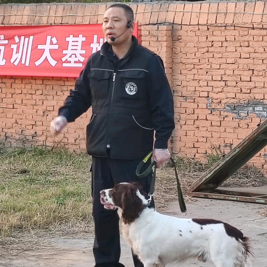 焦作正航训犬基地
