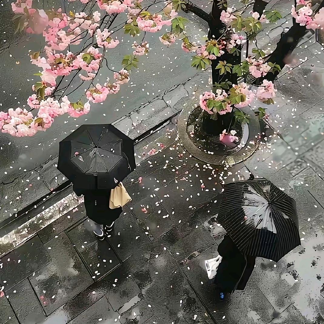 睡不饱