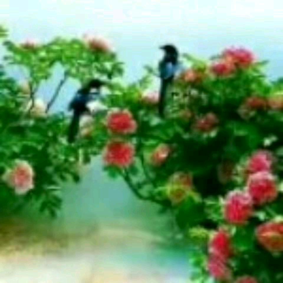 知足常乐19680891718