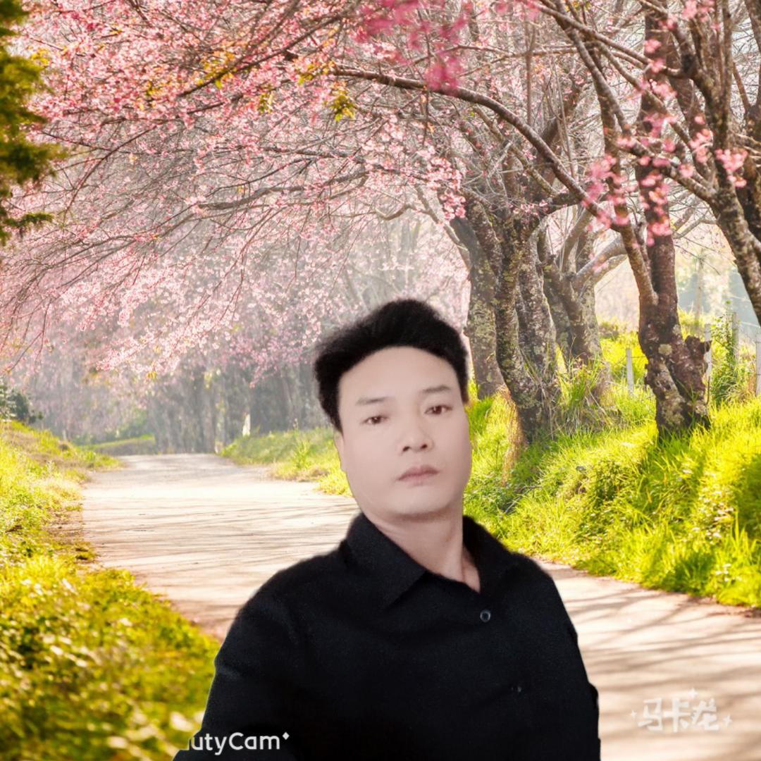 时光如流水
