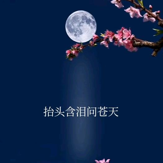 志同道合