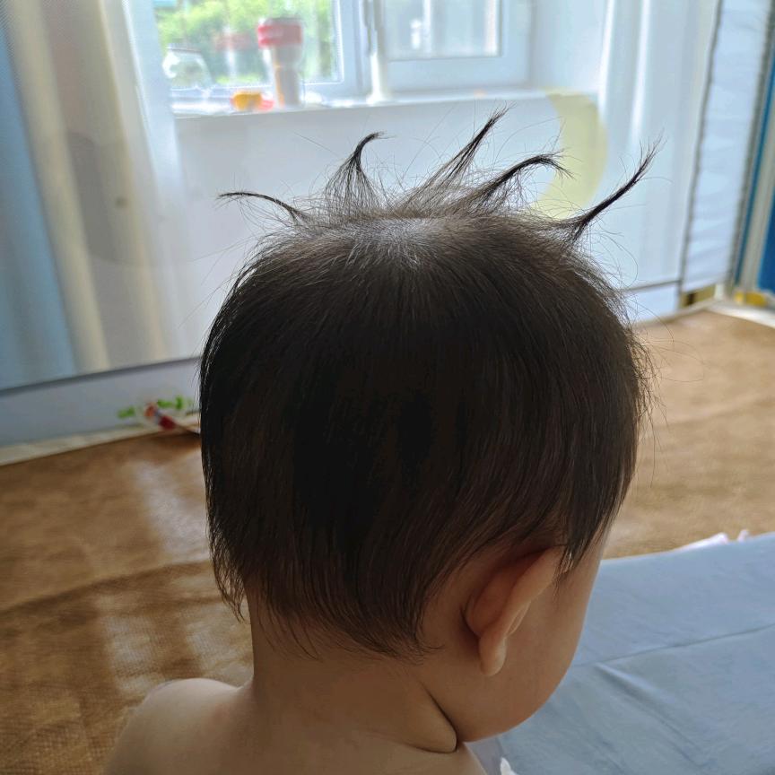 小狮子吖