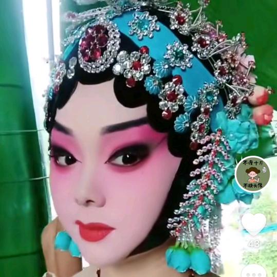 豫剧板胡《刘》