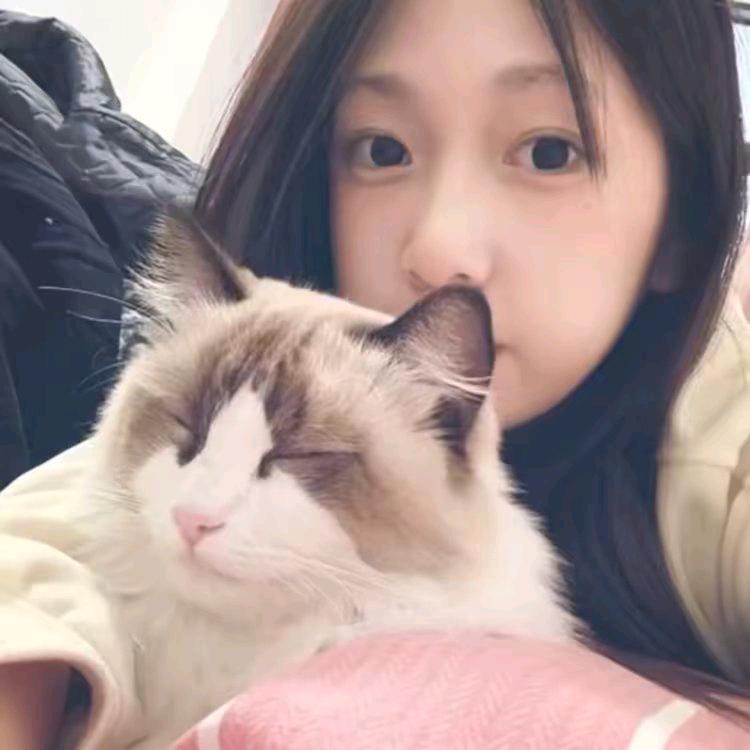 今天吃什么.