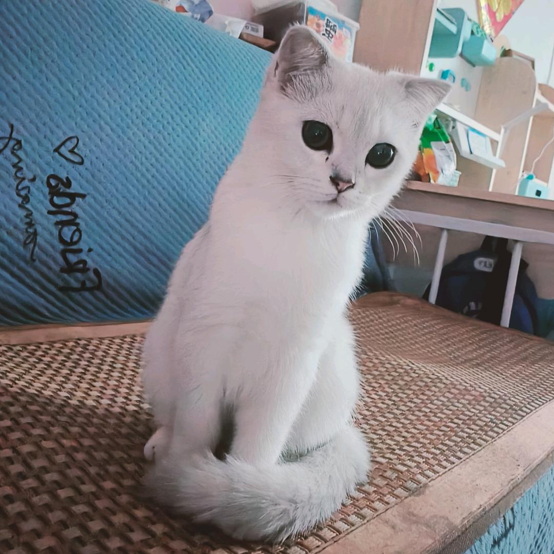 尘封