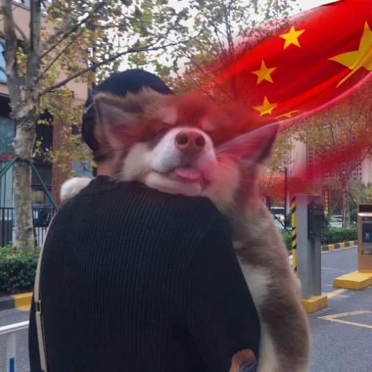 么得感情的杀手