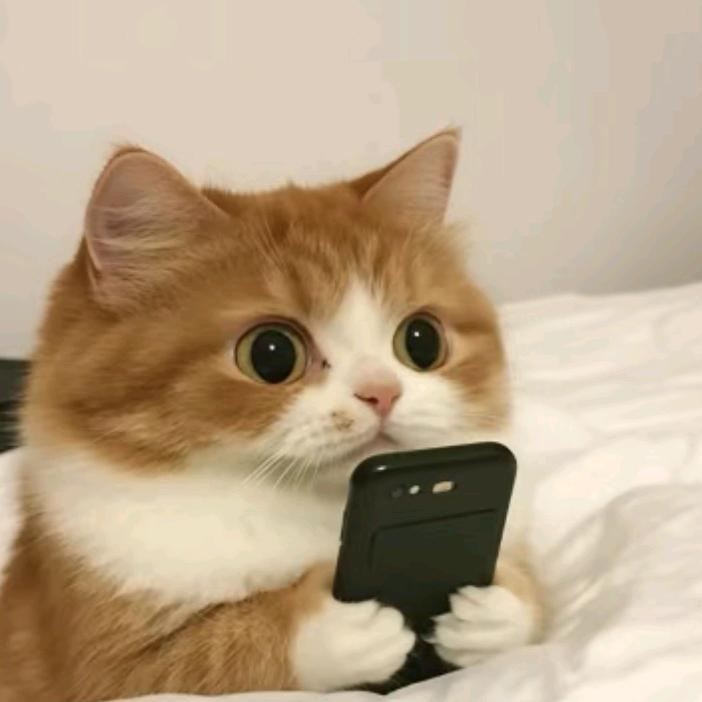 十二月冬雪未归