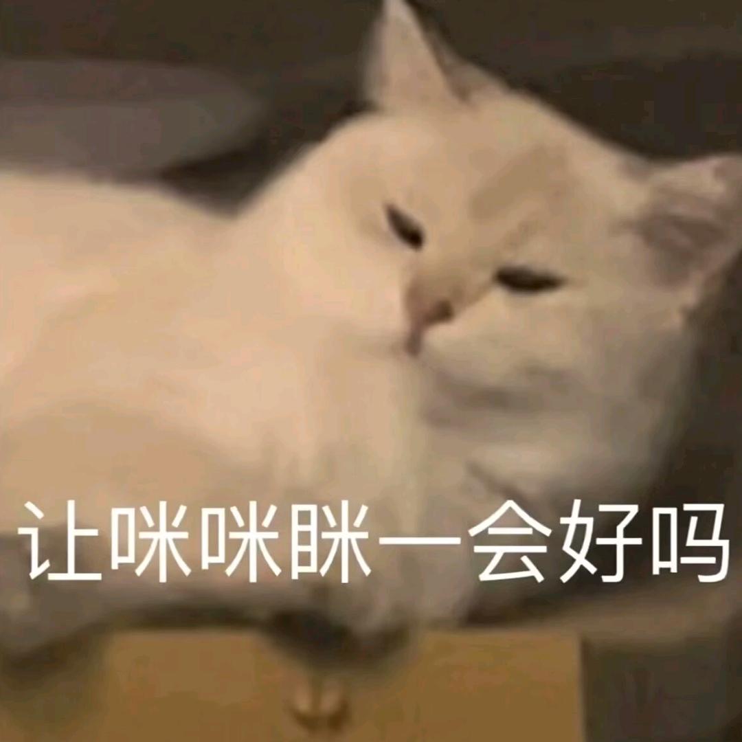 灯影下