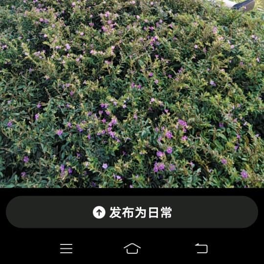 明天会更好@姜美