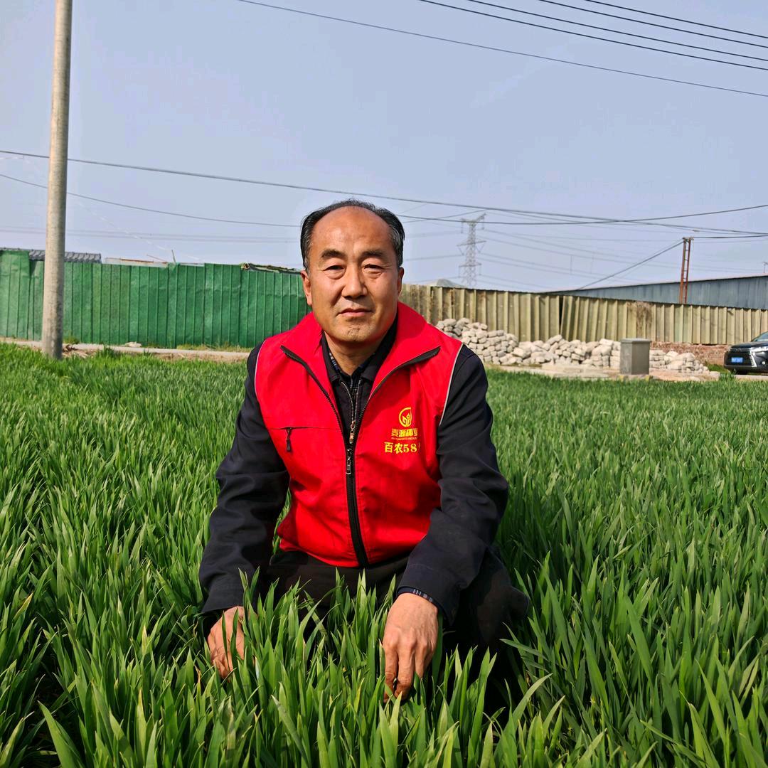 黄哥说农业