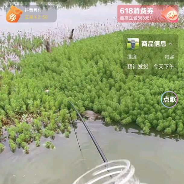 中浪好的