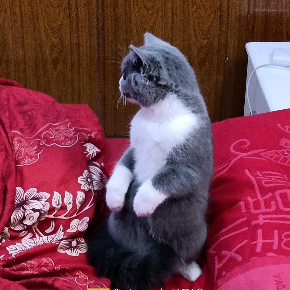 陕西渭南大荔县农村人