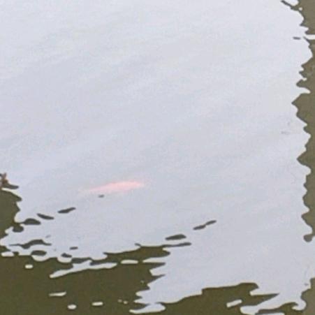 被负当下，未来已暗