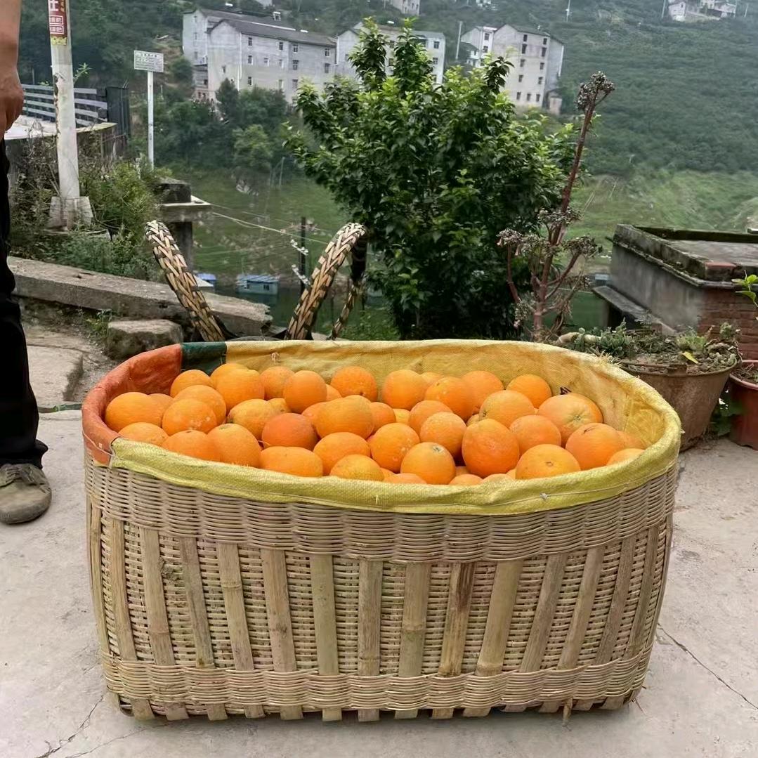橙子姐