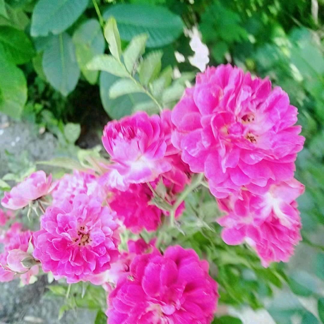 春暖花开