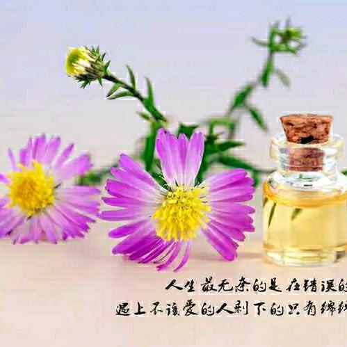 幸福的美满😄😄