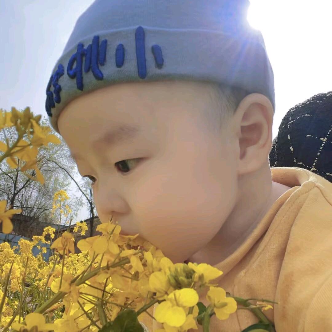 任嘉只认一个伦