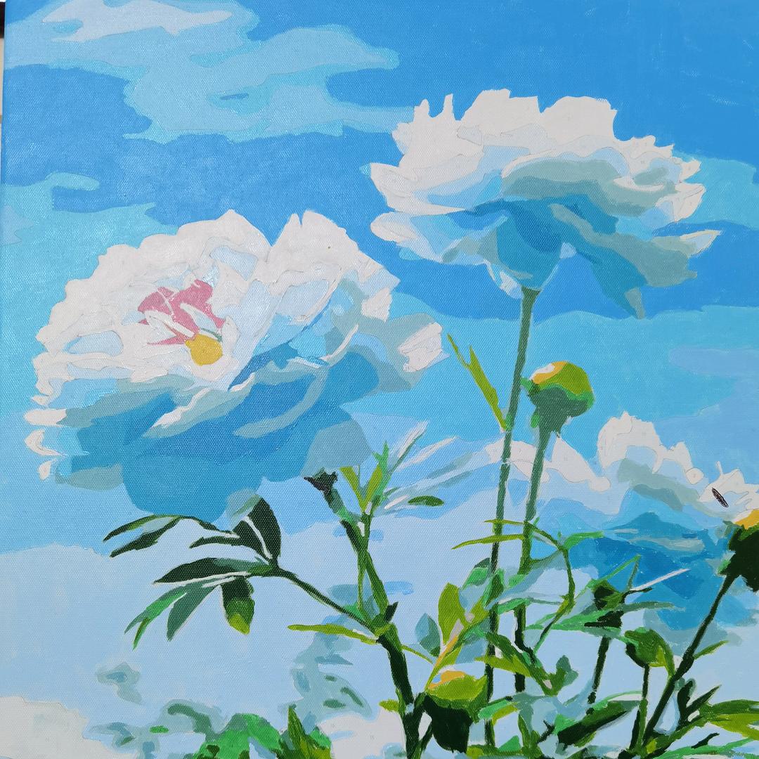 雨过天晴（阿芳净菜）