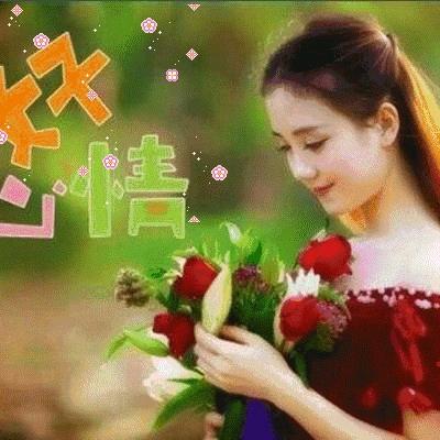 乐陵市小马蟋蟀宠物服务中心