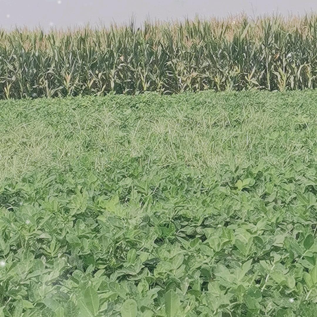 金满园家庭农场