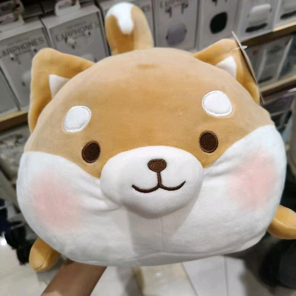 爱听歌的小姐姐