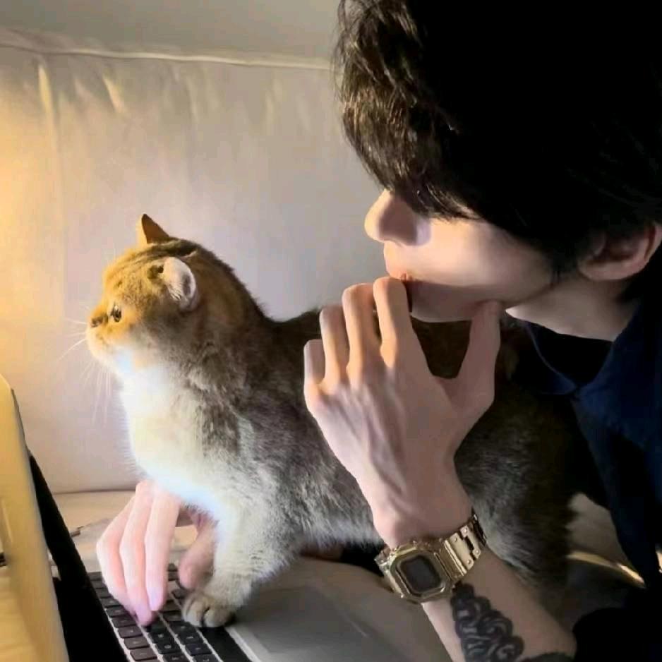 杰哥