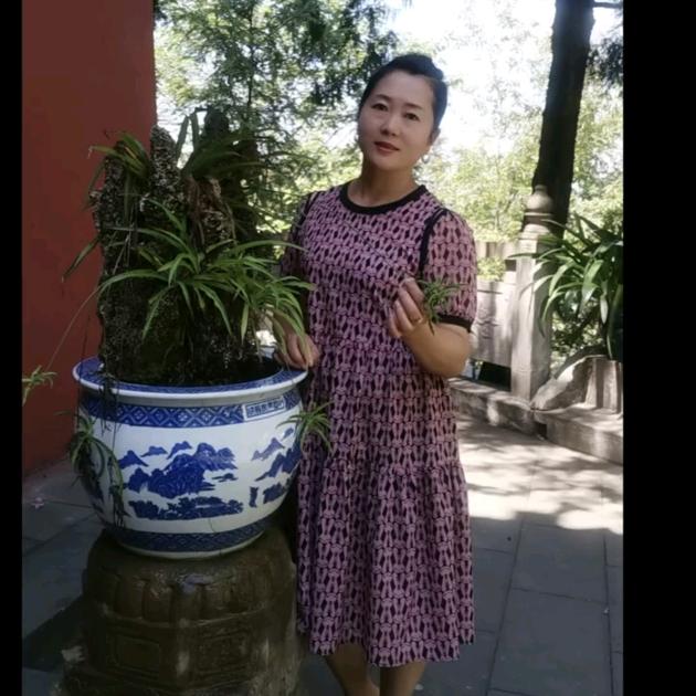 龙梅《山房清茶》武当山南天门（拒私聊）