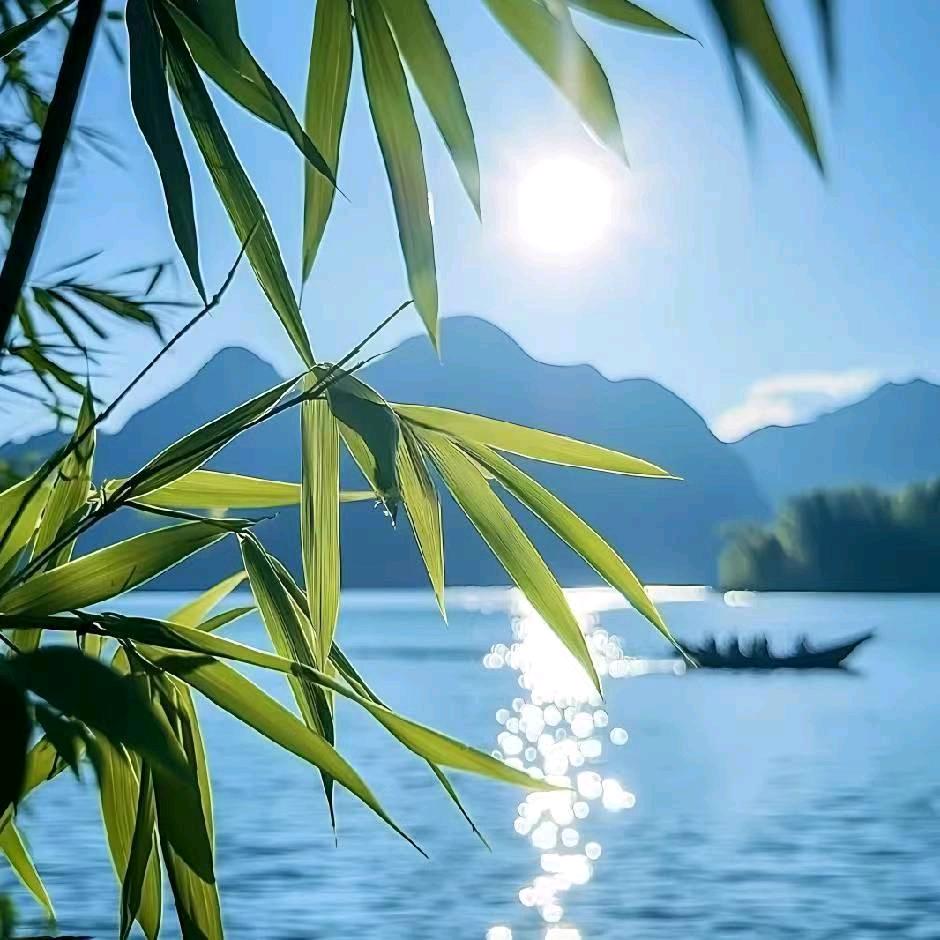 茶多酚高手