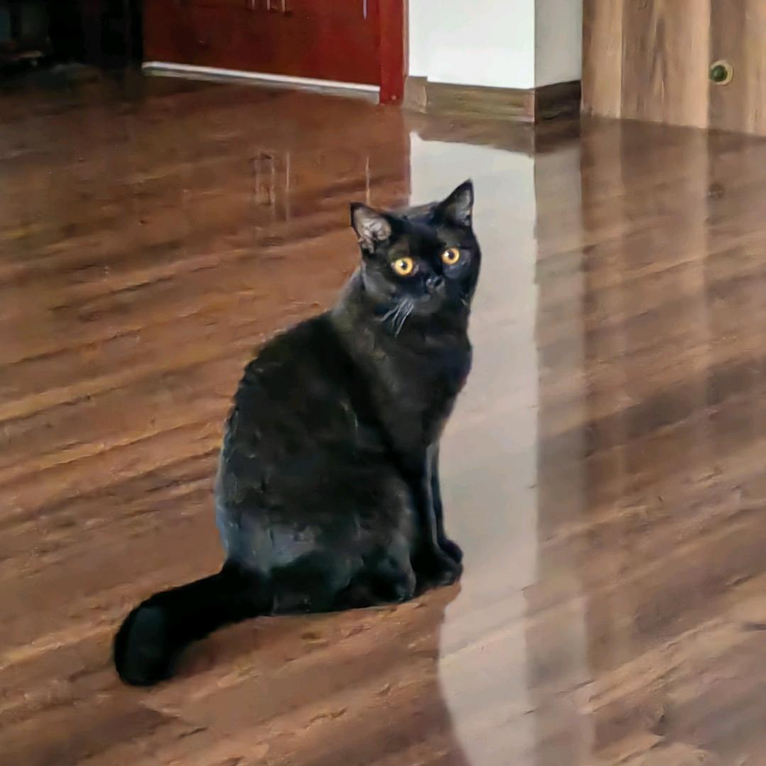 猴子万事通