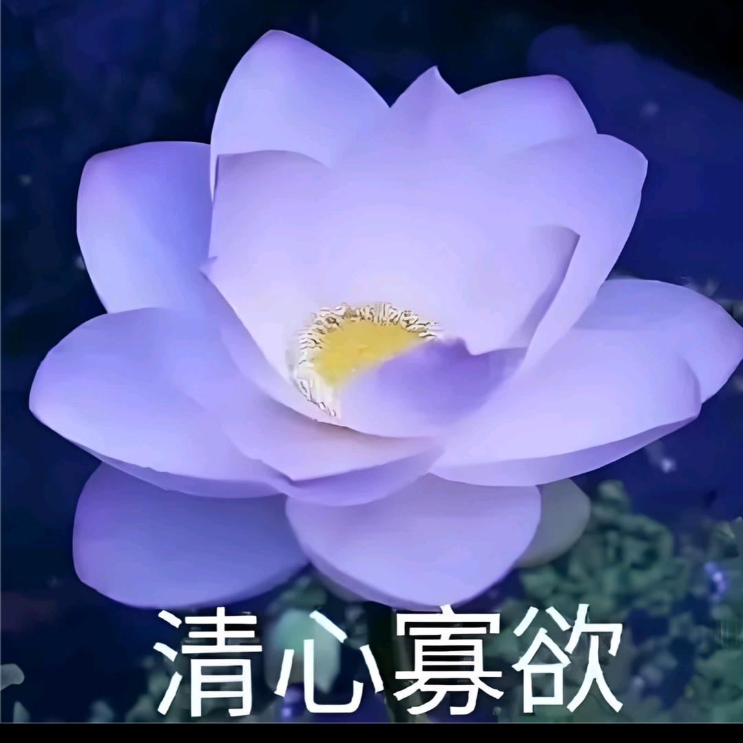 美好向往