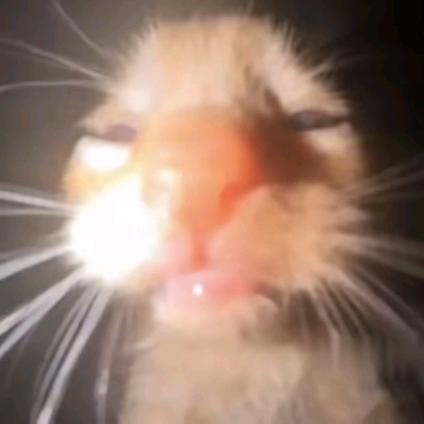 xxx咪